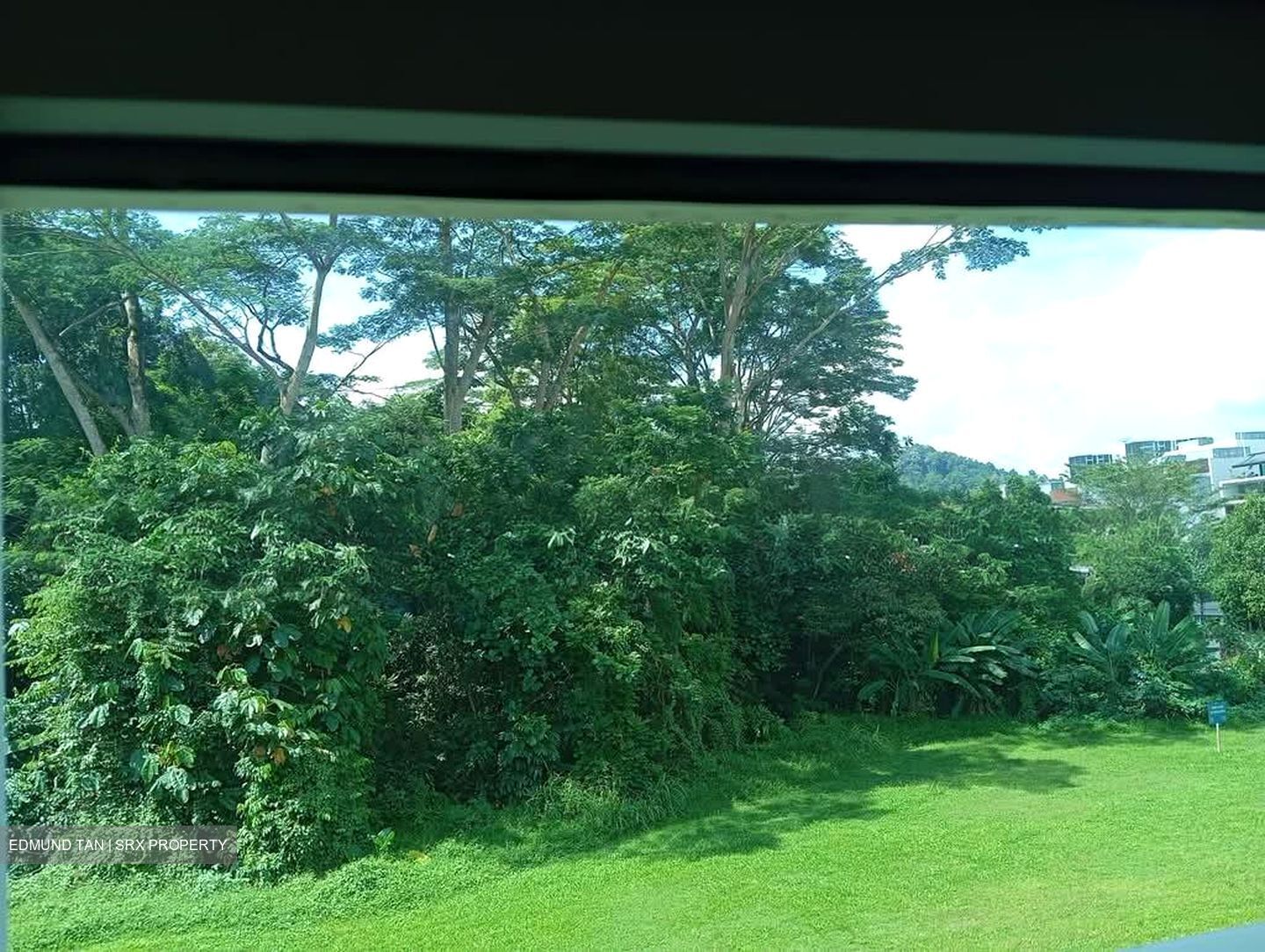 Mera Gardens (D23), Terrace #552840971